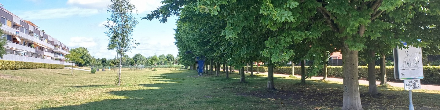 Foto van het huidige hondenuitrenveld aan de Boekentuin